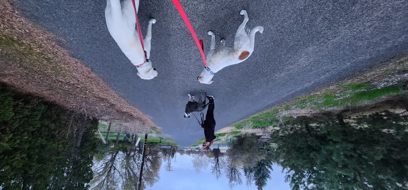 Training Walks